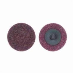 Bear_Tex_66261009190