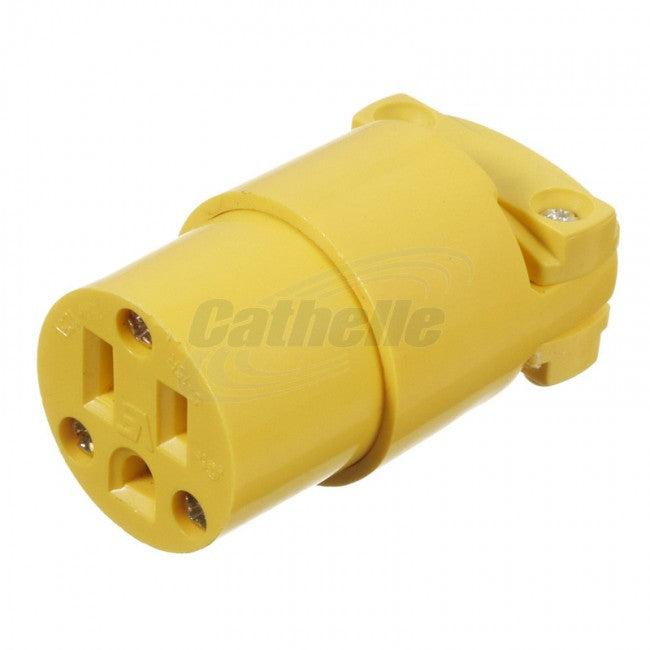 CATH6503