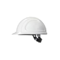 Honeywell_N10010000