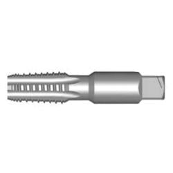 Union_Butterfield_1010561