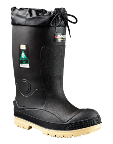 BAF235900009