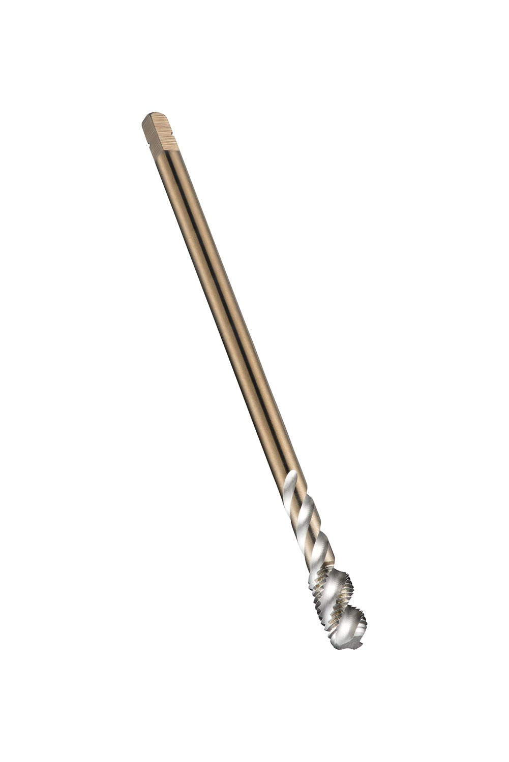 DOR0149768