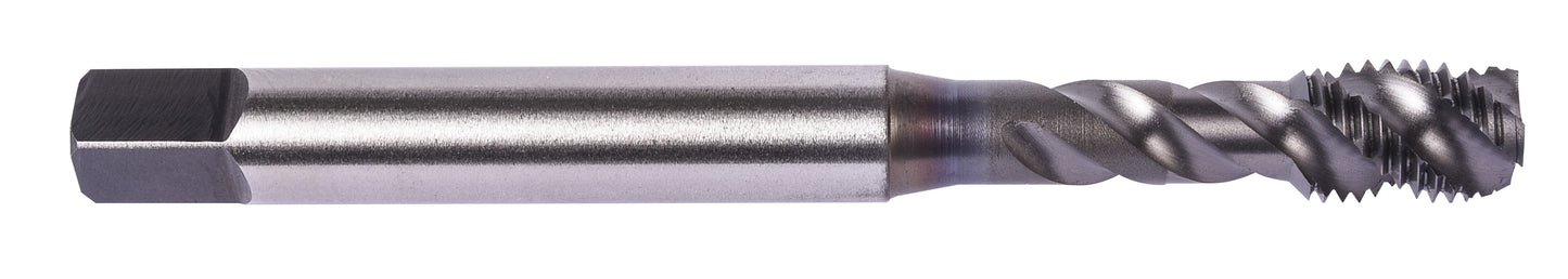 DOR1717704