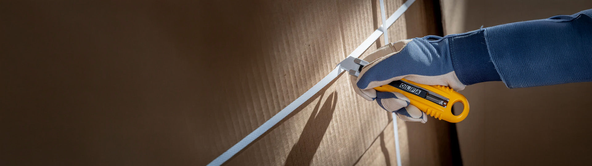 custom-slideshow-image-desktop-block_nwzGg6