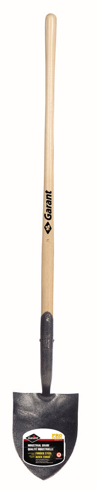 GARGFFR1L