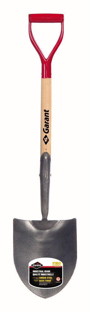 GARGIFR2D