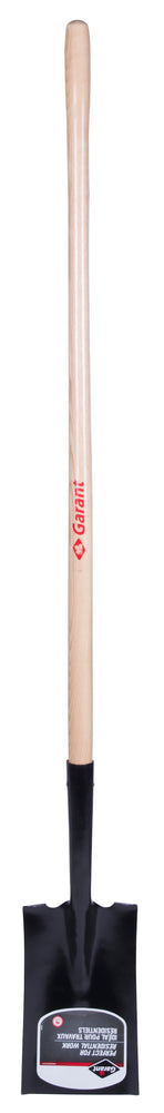 GARSHGS2L