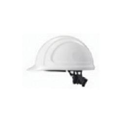 Honeywell_N10R010000