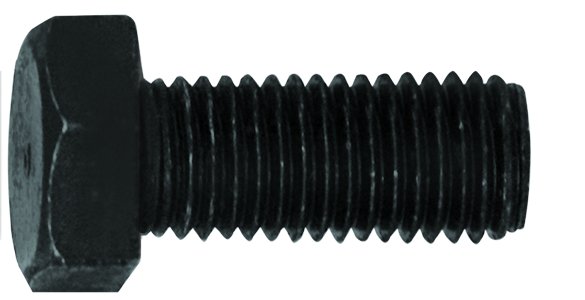 INF101020N