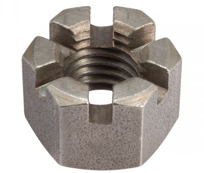 INF183037