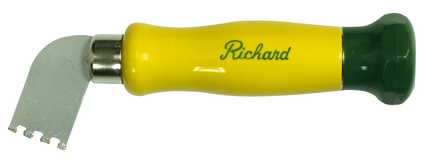 RIC05517