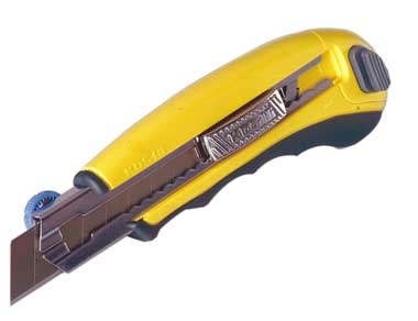 RICGP6
