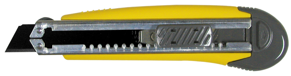 RICL21