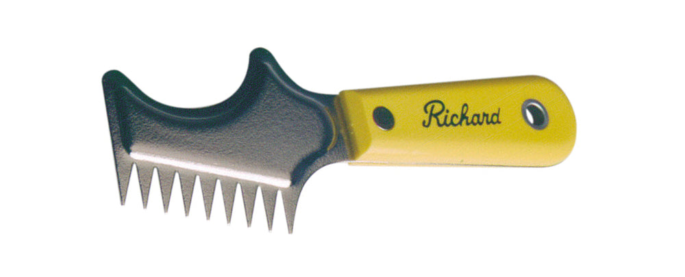RICPC1