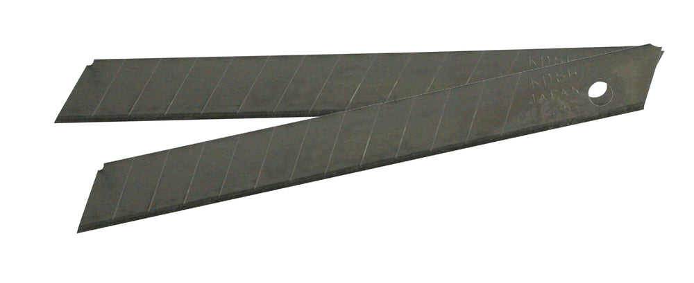 RICSB10