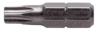 STAJ60512